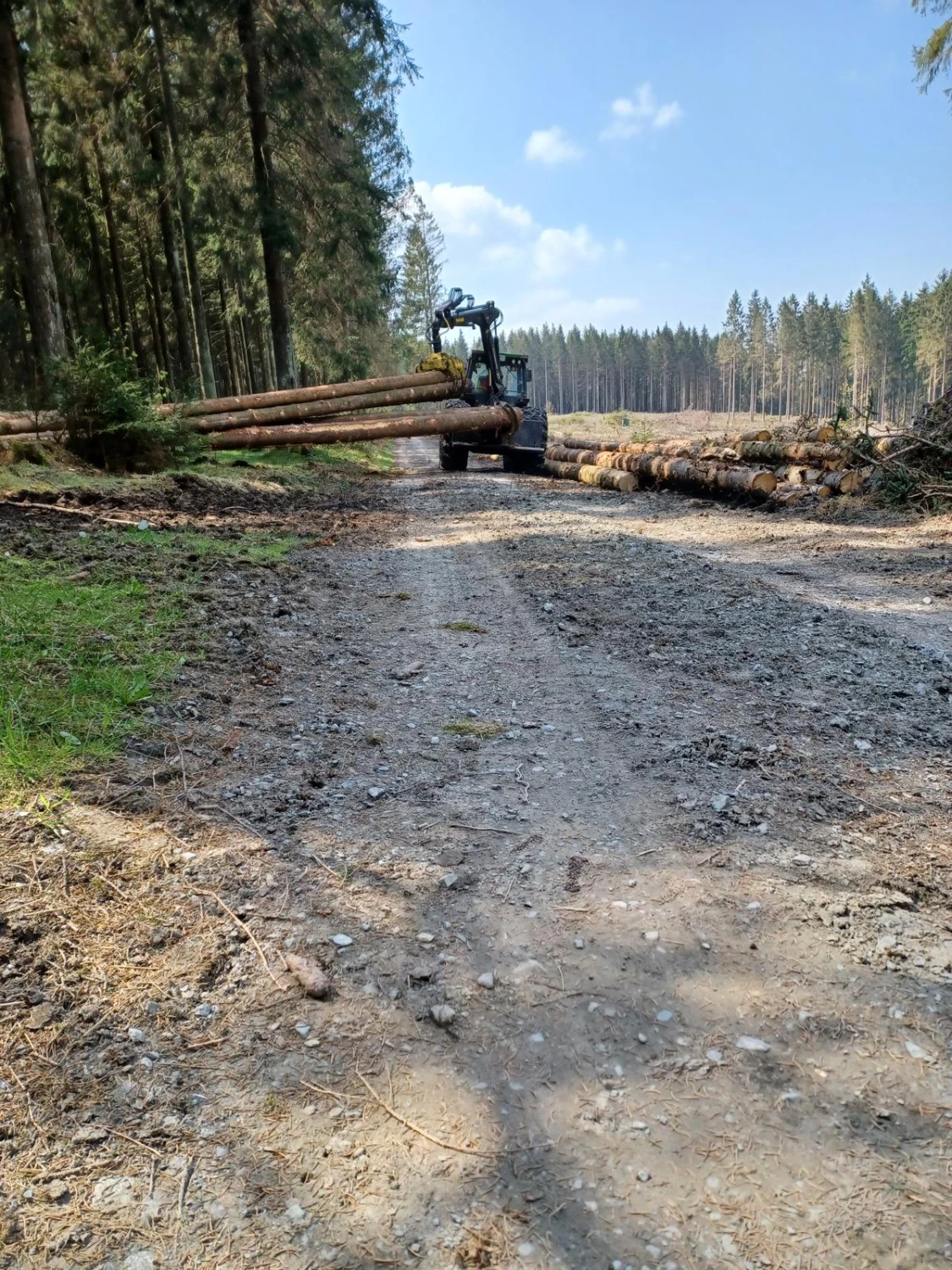 Holzernte von Forstbetrieb Schütte