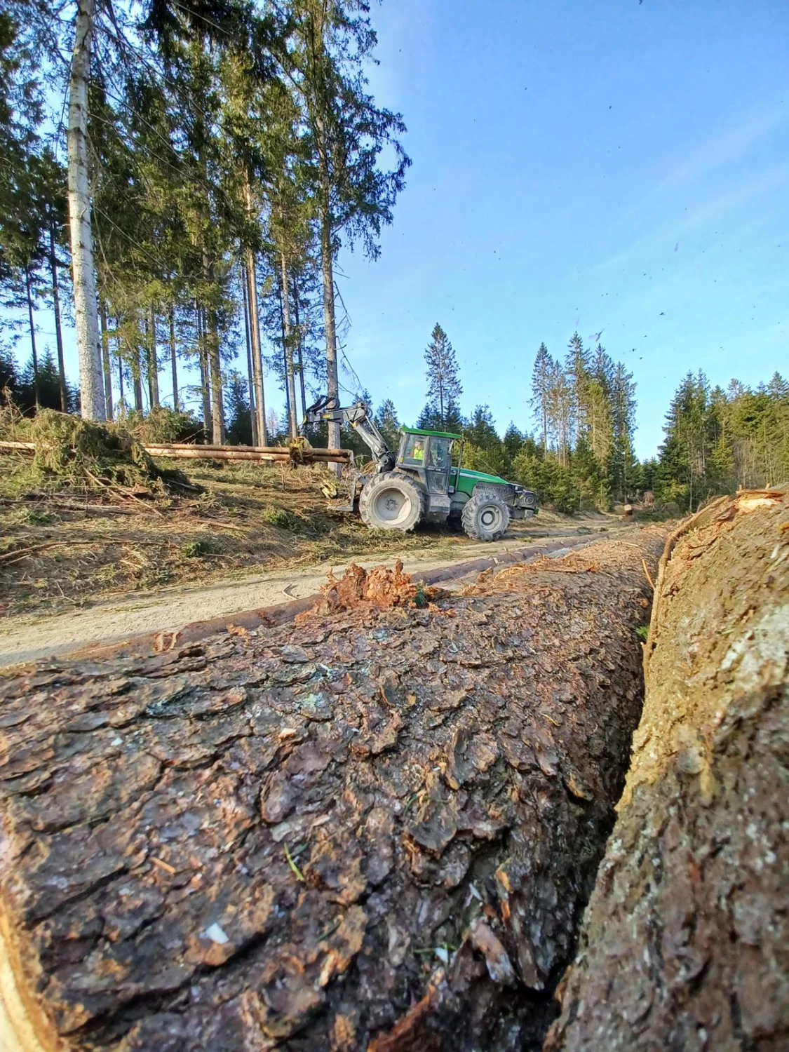 Holzernte von Forstbetrieb Schütte