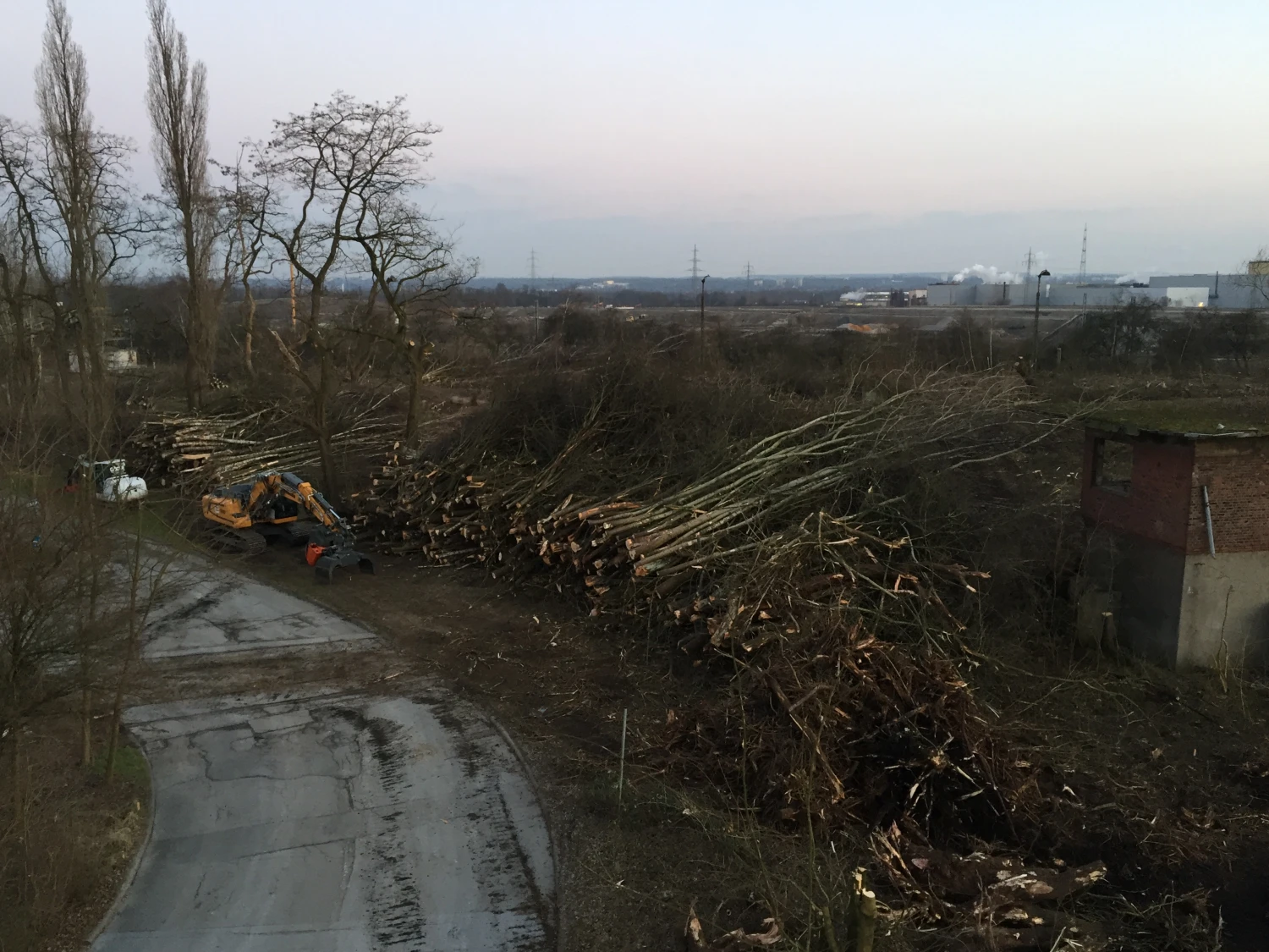 Baufeldräumung von Sturmschäden 24/7 von Forstbetrieb Schütte