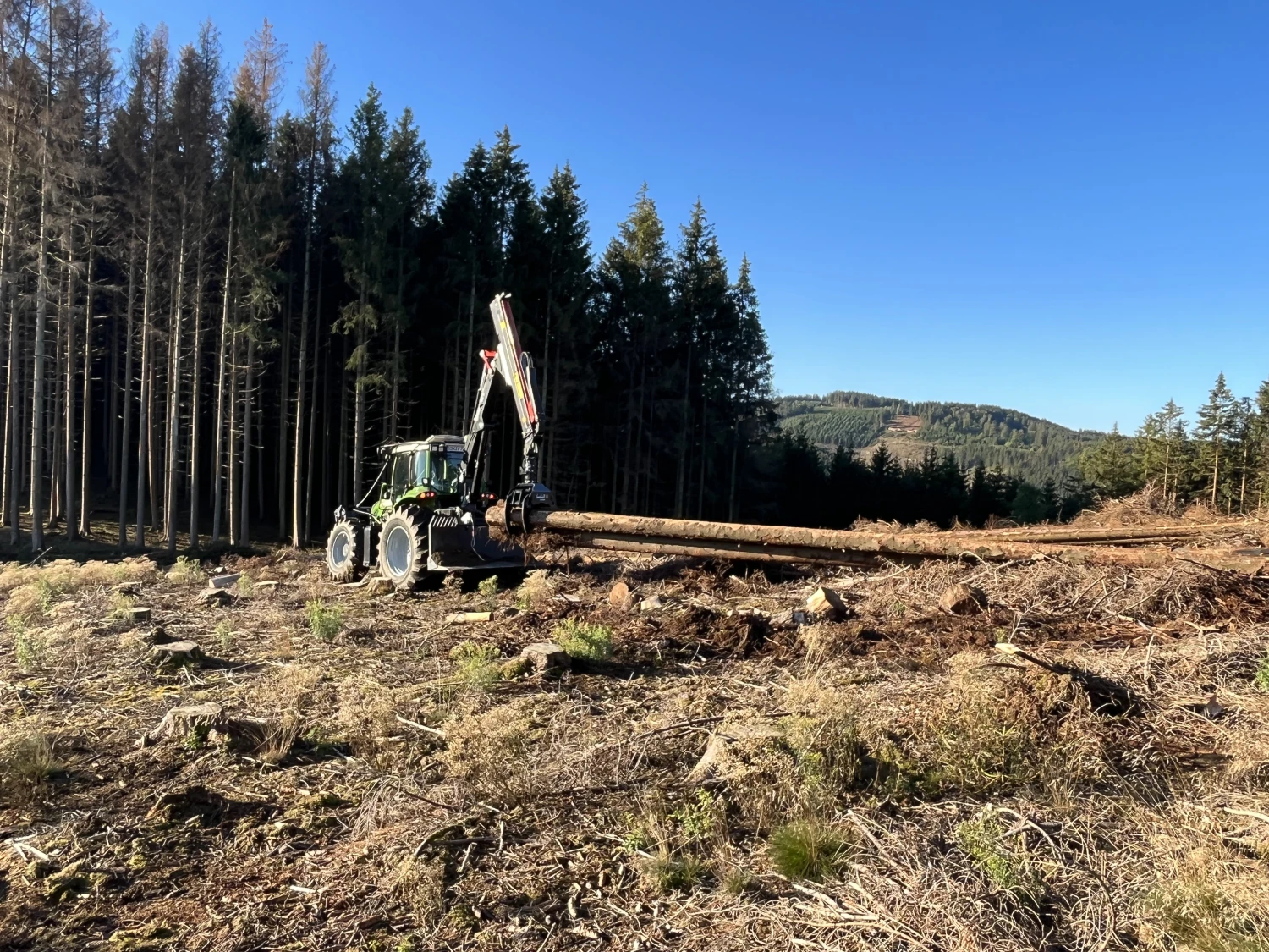 Holzernte von Forstbetrieb Schütte