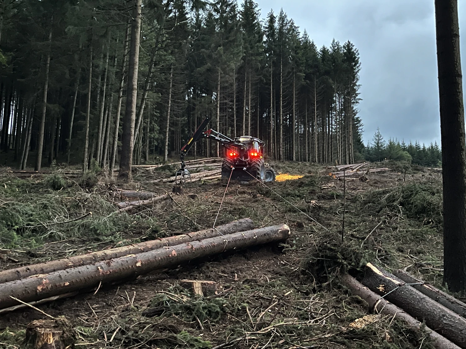 Holzernte von Forstbetrieb Schütte