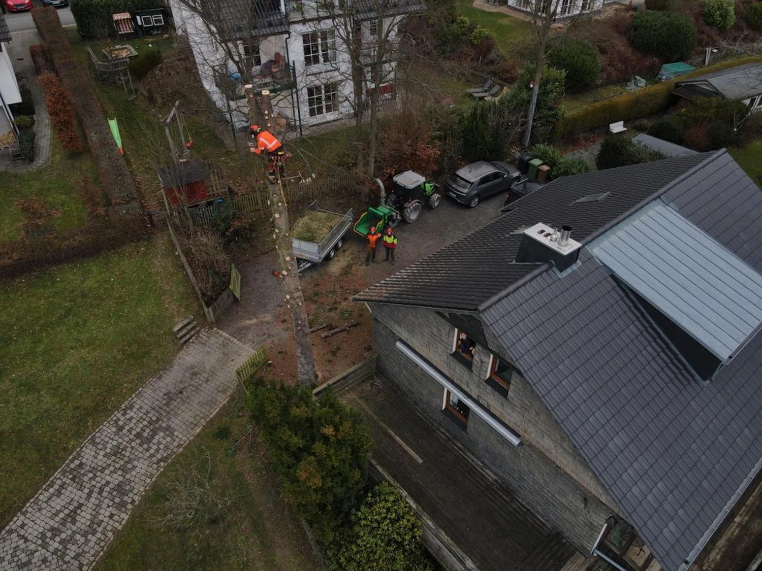 Problembaumfällung von Forstbetrieb Schütte