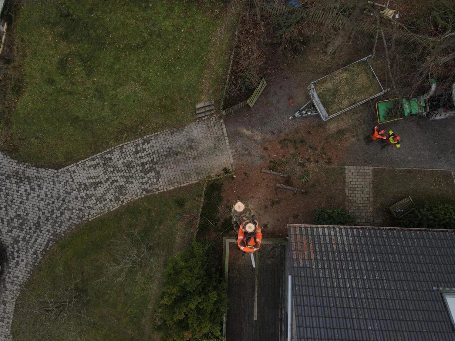 Problembaumfällung von Forstbetrieb Schütte