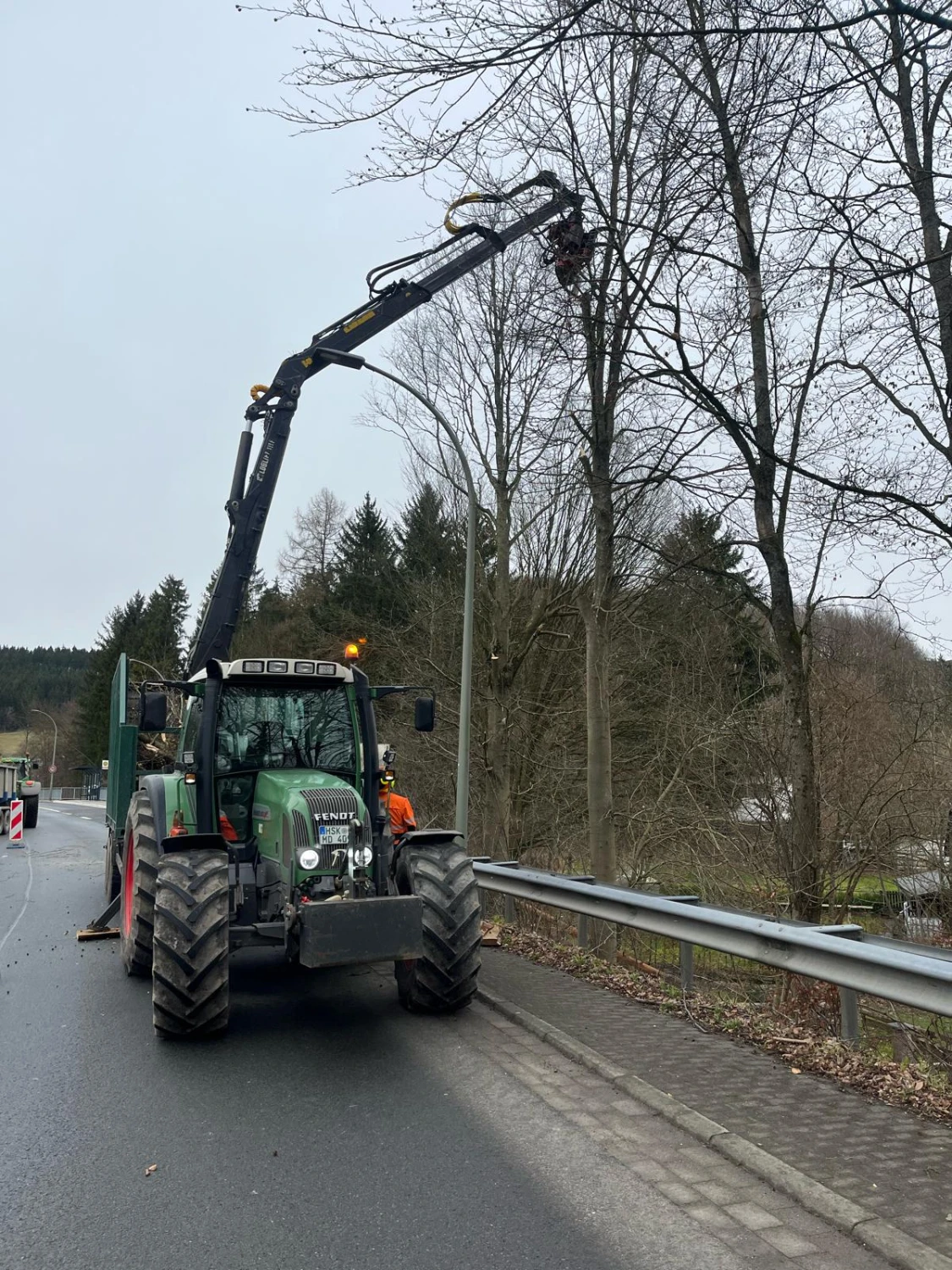 Problembaumfällung von Forstbetrieb Schütte