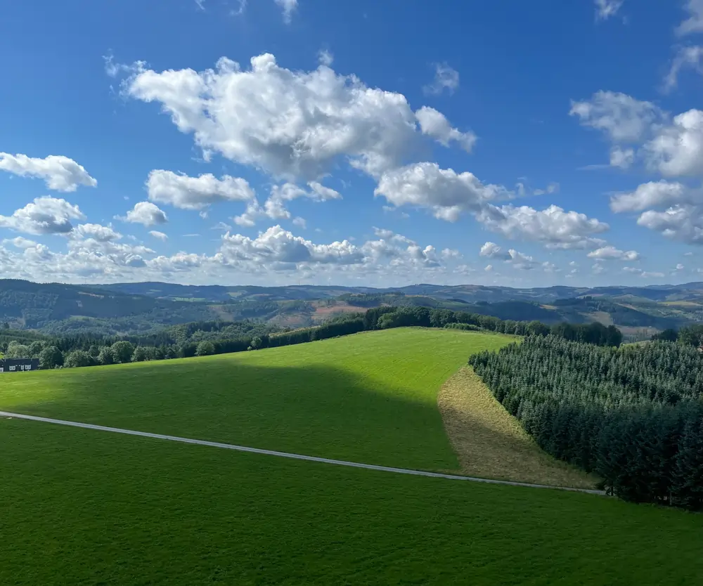 Wald  von Forstbetrieb Schütte