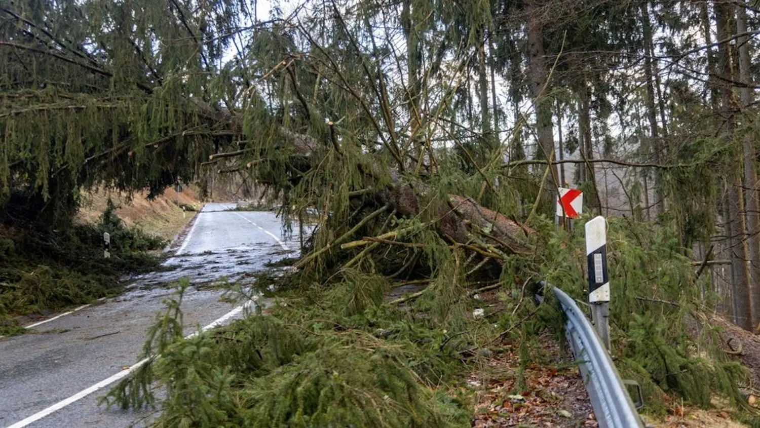 Sturmschäden von Forstbetrieb Schütte