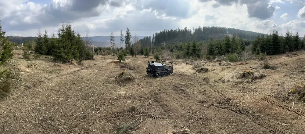 Wald von Forstbetrieb Schütte
