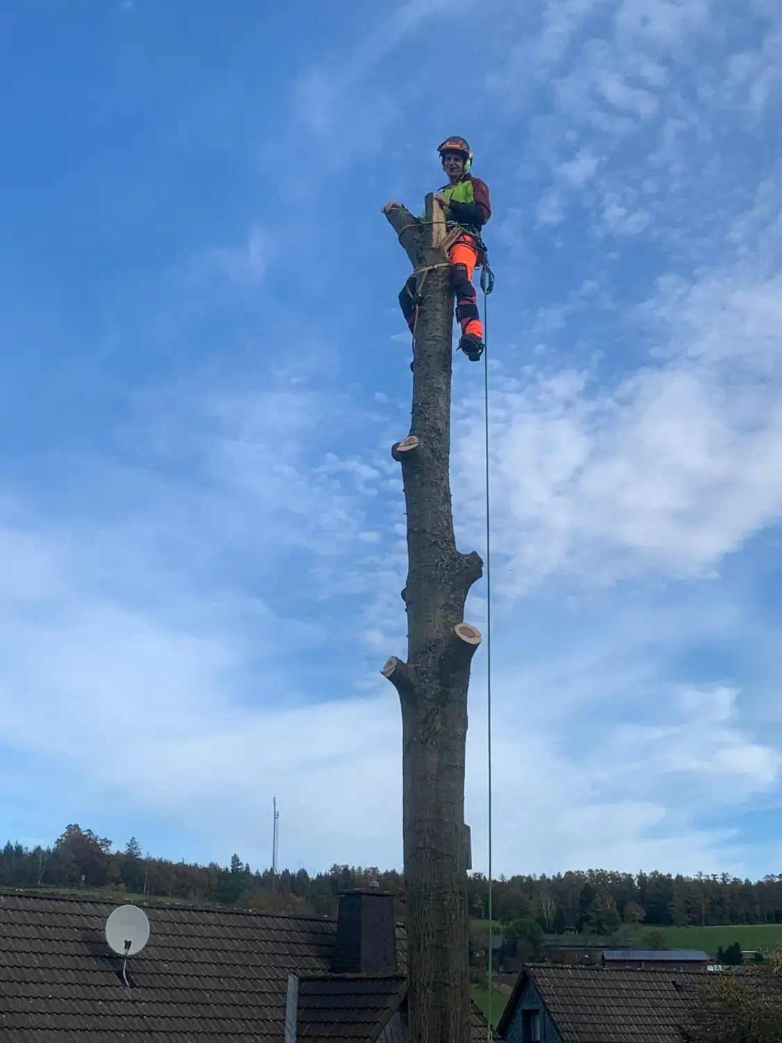 Sturmschäden von Forstbetrieb Schütte